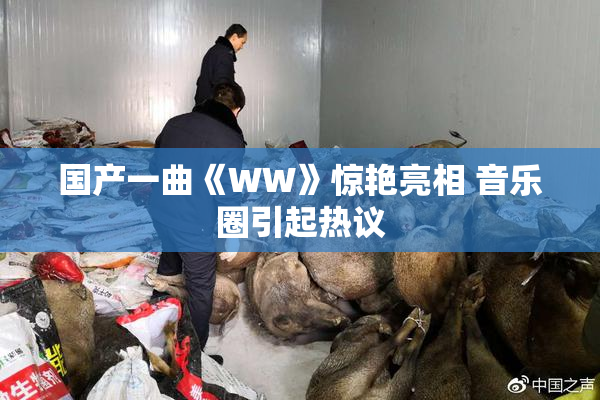 国产一曲《WW》惊艳亮相 音乐圈引起热议
