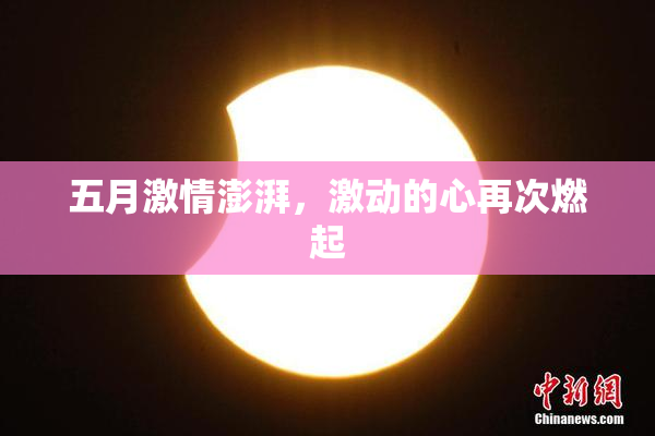 五月激情澎湃，激动的心再次燃起
