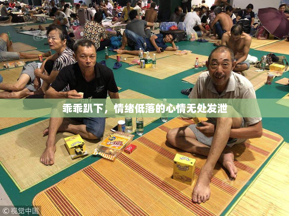 乖乖趴下，情绪低落的心情无处发泄