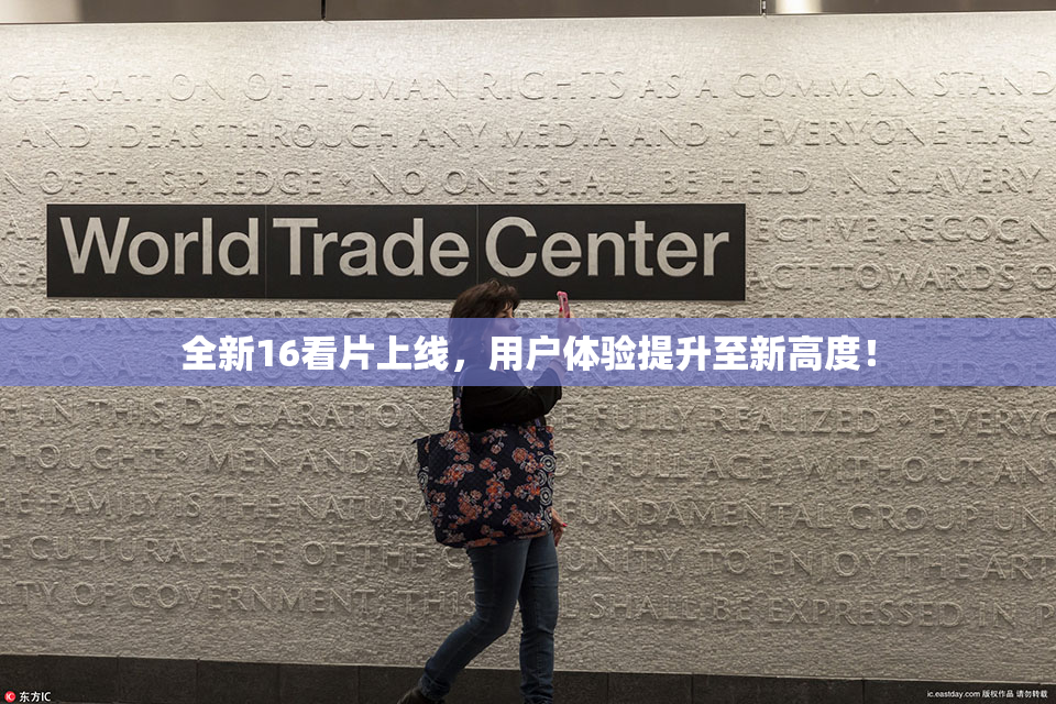 全新16看片上线，用户体验提升至新高度！