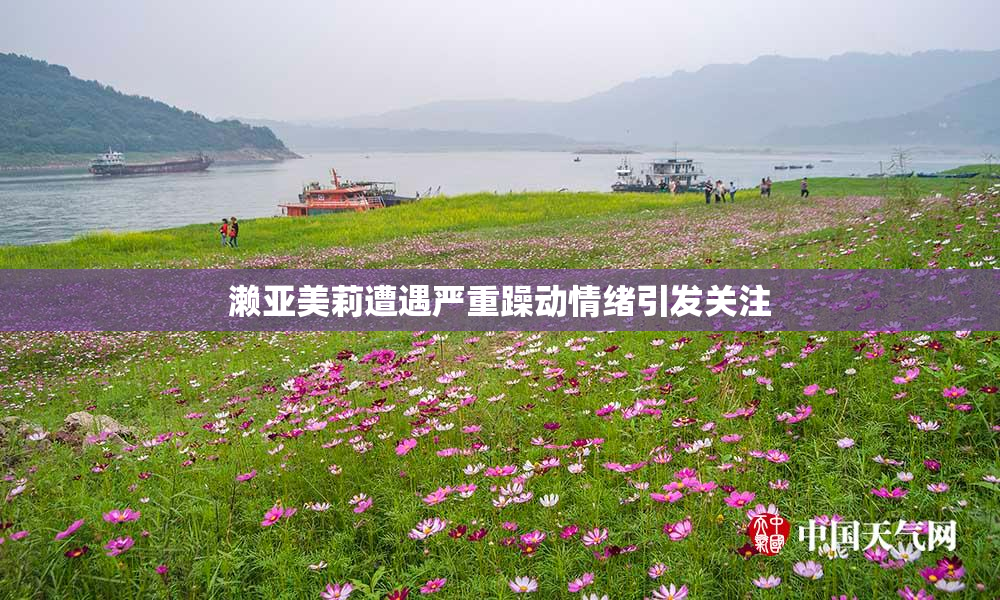 濑亚美莉遭遇严重躁动情绪引发关注