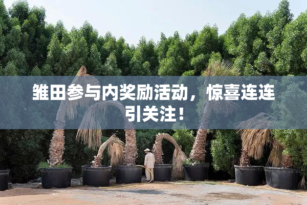 雏田参与内奖励活动，惊喜连连引关注！