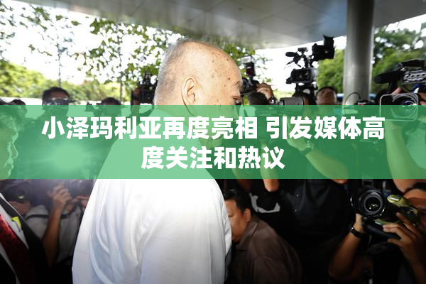 小泽玛利亚再度亮相 引发媒体高度关注和热议