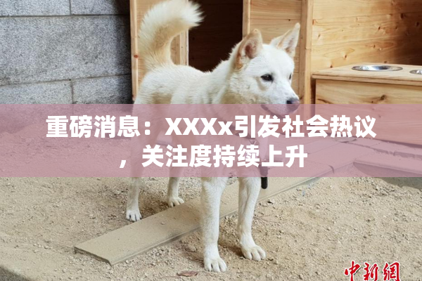 重磅消息：XXXx引发社会热议，关注度持续上升