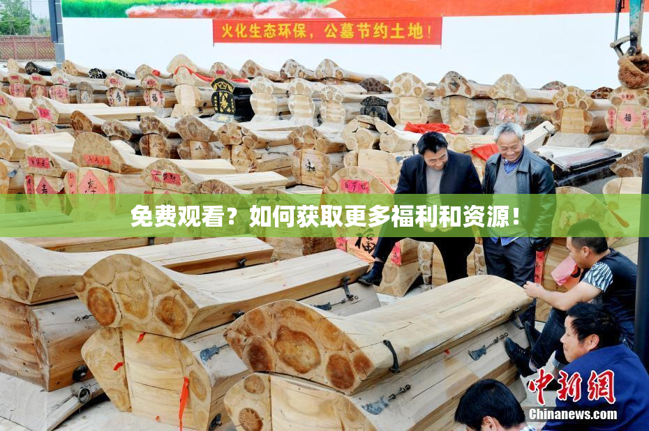 免费观看？如何获取更多福利和资源！