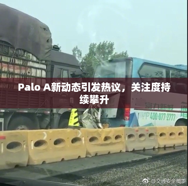 Palo A新动态引发热议，关注度持续攀升