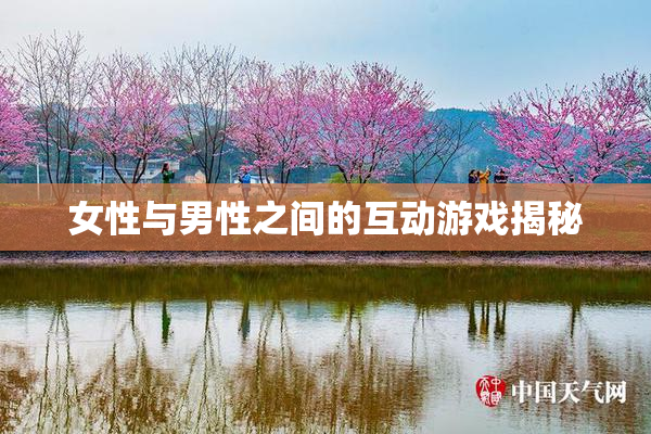 女性与男性之间的互动游戏揭秘