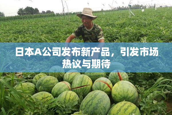 日本A公司发布新产品，引发市场热议与期待