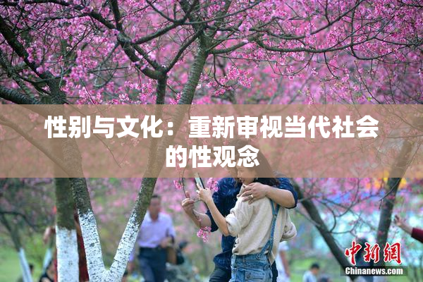 性别与文化：重新审视当代社会的性观念