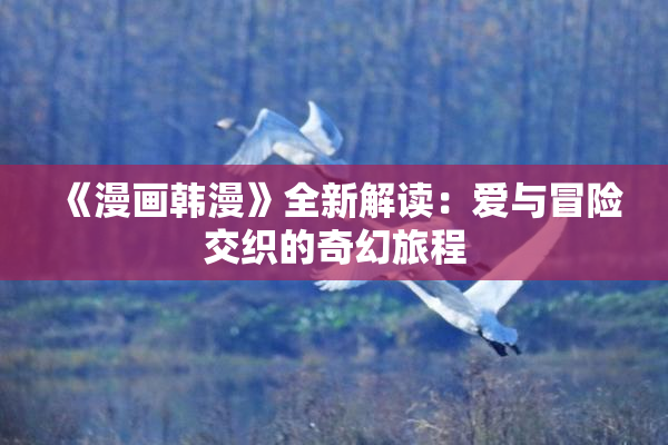《漫画韩漫》全新解读：爱与冒险交织的奇幻旅程