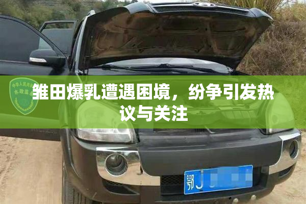雏田爆乳遭遇困境，纷争引发热议与关注