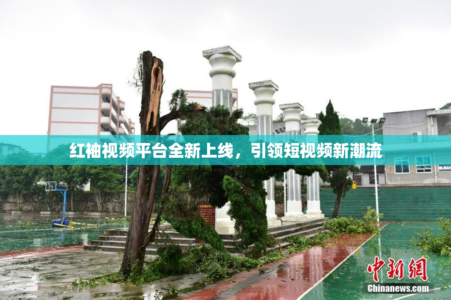 红袖视频平台全新上线，引领短视频新潮流