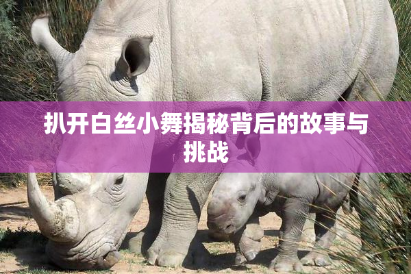 扒开白丝小舞揭秘背后的故事与挑战