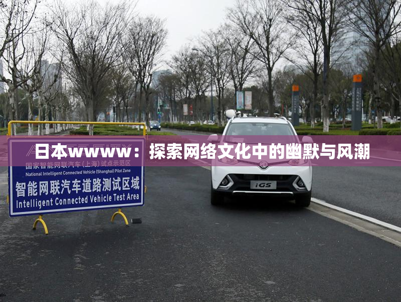 日本wwww：探索网络文化中的幽默与风潮
