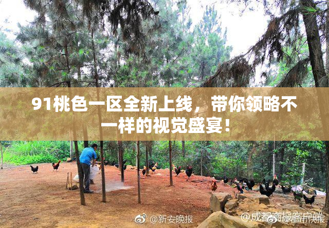 91桃色一区全新上线，带你领略不一样的视觉盛宴！