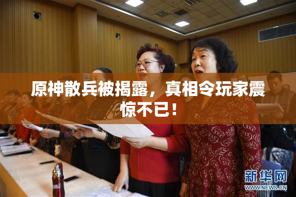 原神散兵被揭露，真相令玩家震惊不已！