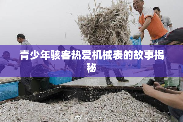 青少年骇客热爱机械表的故事揭秘