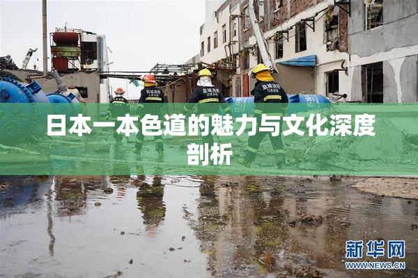 日本一本色道的魅力与文化深度剖析