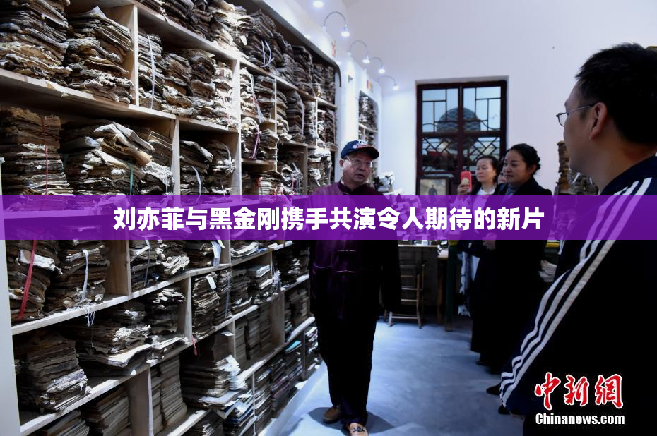 刘亦菲与黑金刚携手共演令人期待的新片