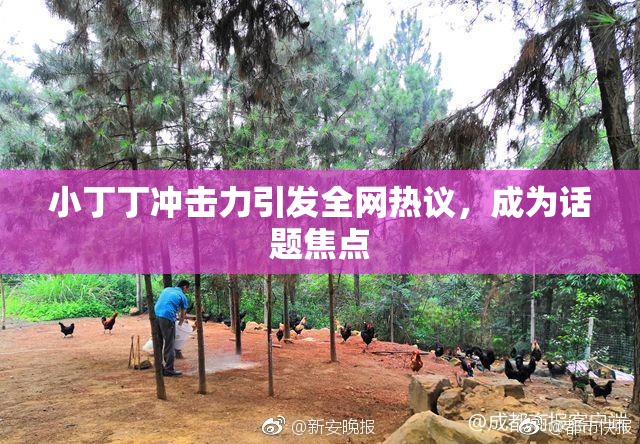 小丁丁冲击力引发全网热议，成为话题焦点
