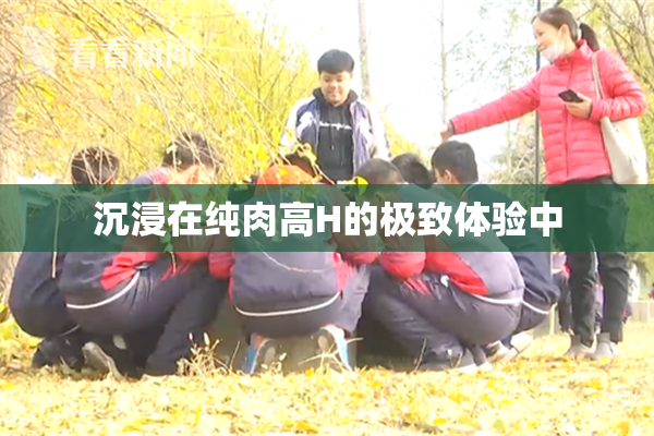 沉浸在纯肉高H的极致体验中