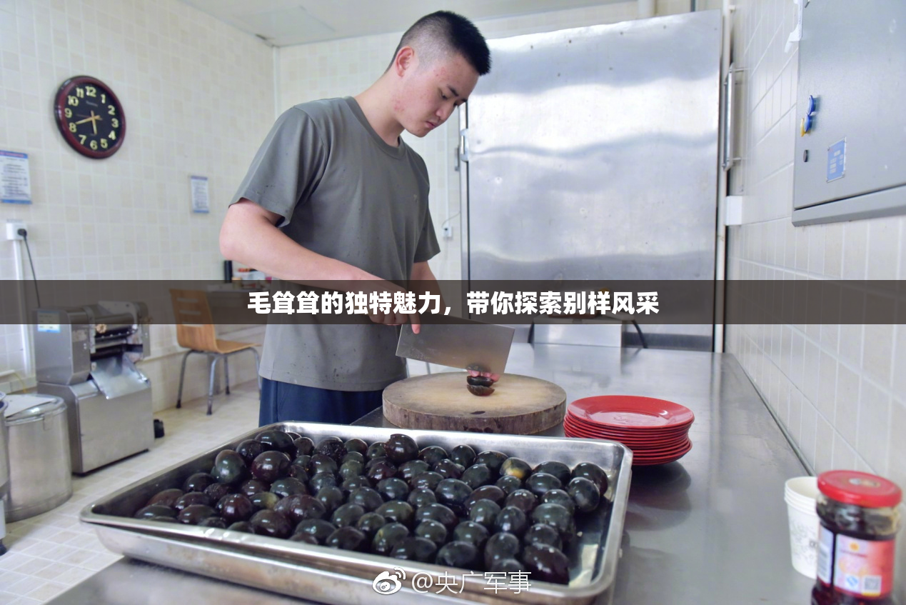 毛耸耸的独特魅力，带你探索别样风采