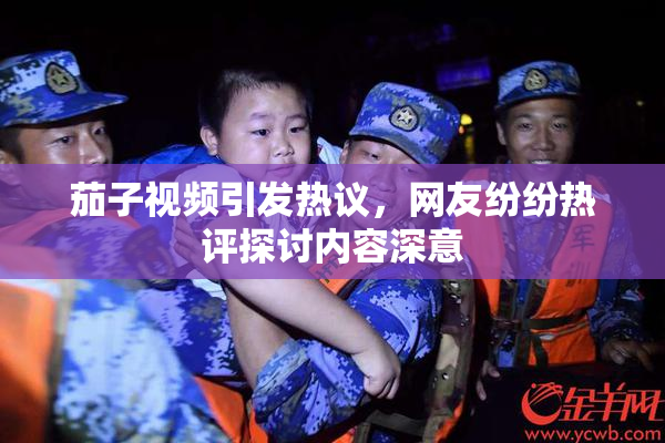 茄子视频引发热议，网友纷纷热评探讨内容深意