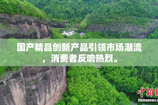 国产精品创新产品引领市场潮流，消费者反响热烈。