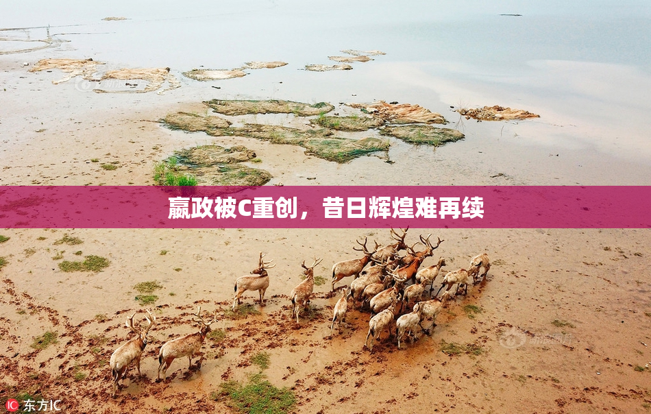 嬴政被C重创，昔日辉煌难再续