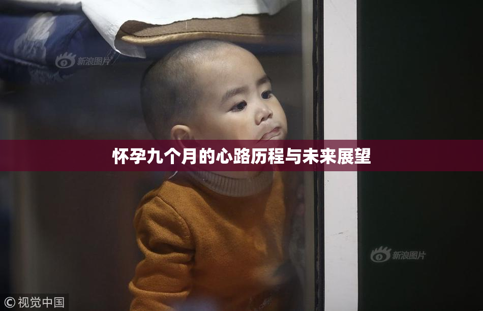 怀孕九个月的心路历程与未来展望