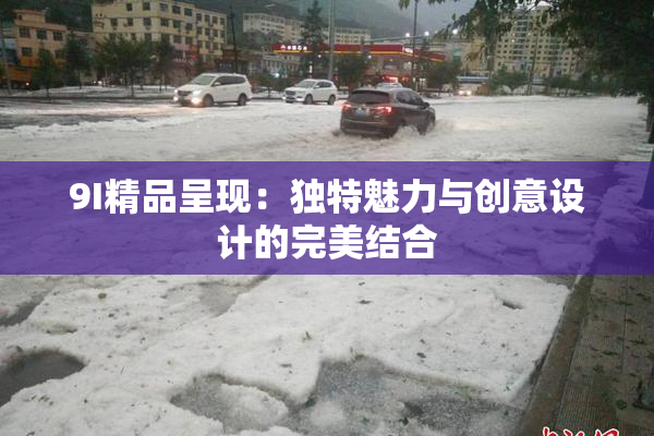 9I精品呈现：独特魅力与创意设计的完美结合