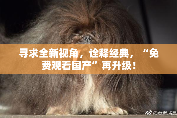 寻求全新视角，诠释经典，“免费观看国产”再升级！