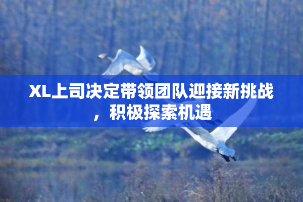XL上司决定带领团队迎接新挑战，积极探索机遇