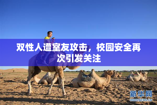 双性人遭室友攻击，校园安全再次引发关注