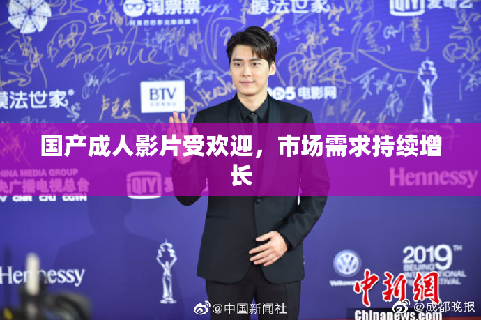 国产成人影片受欢迎，市场需求持续增长