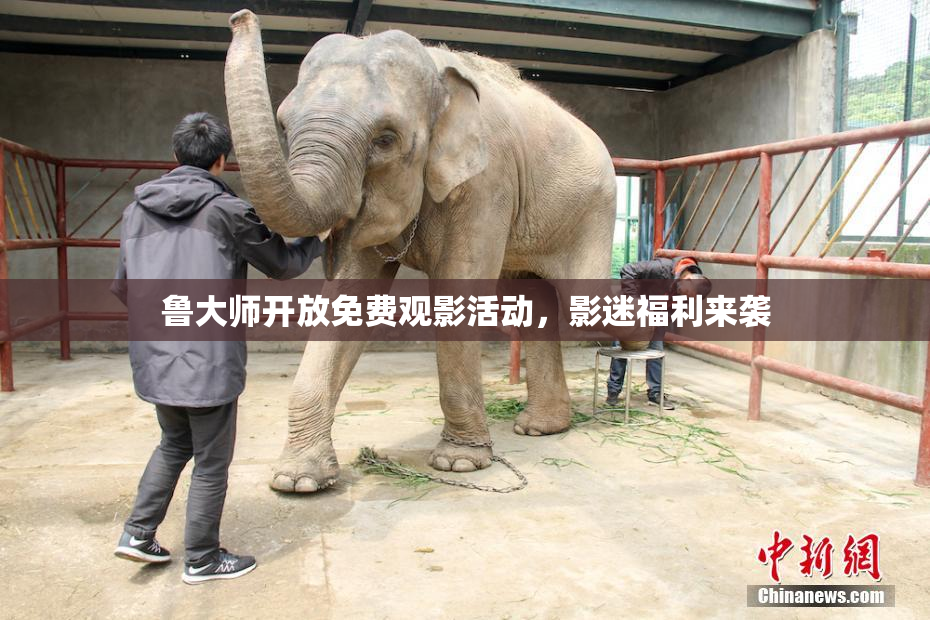 鲁大师开放免费观影活动，影迷福利来袭
