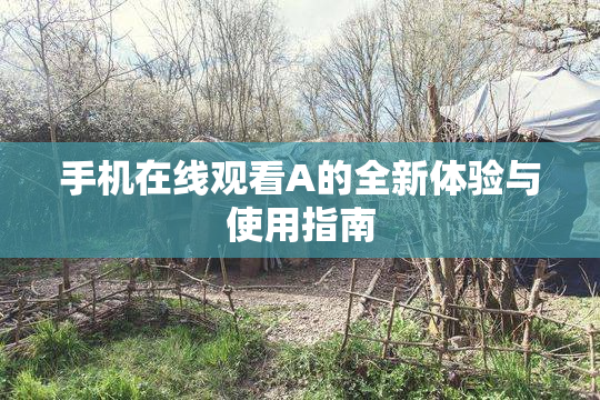 手机在线观看A的全新体验与使用指南