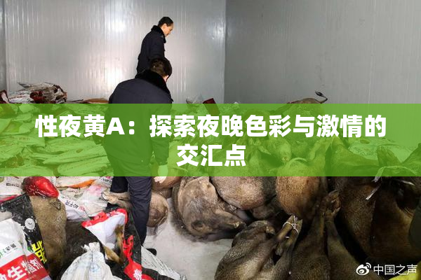 性夜黄A：探索夜晚色彩与激情的交汇点