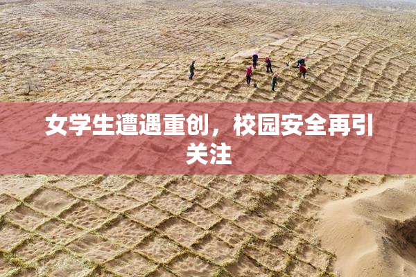 女学生遭遇重创，校园安全再引关注