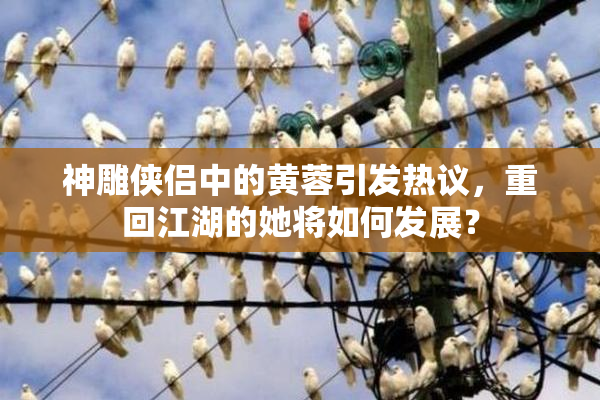 神雕侠侣中的黄蓉引发热议，重回江湖的她将如何发展？