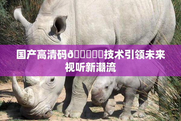 国产高清码🔞❌‌技术引领未来视听新潮流