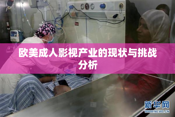 欧美成人影视产业的现状与挑战分析