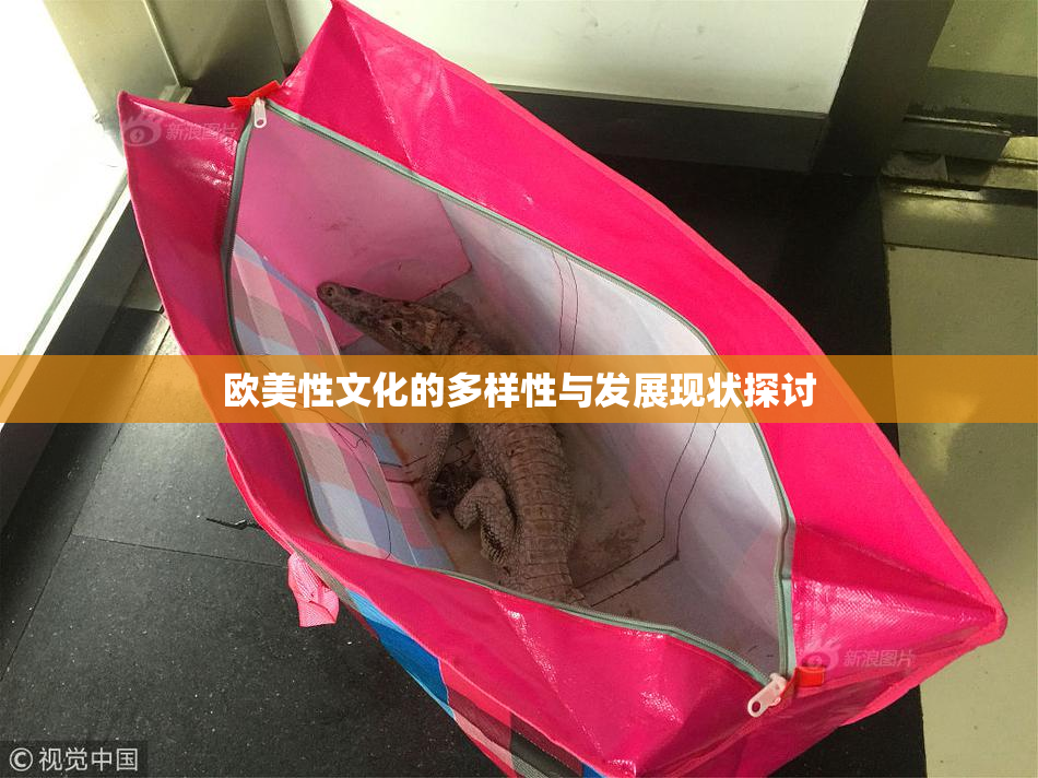 欧美性文化的多样性与发展现状探讨