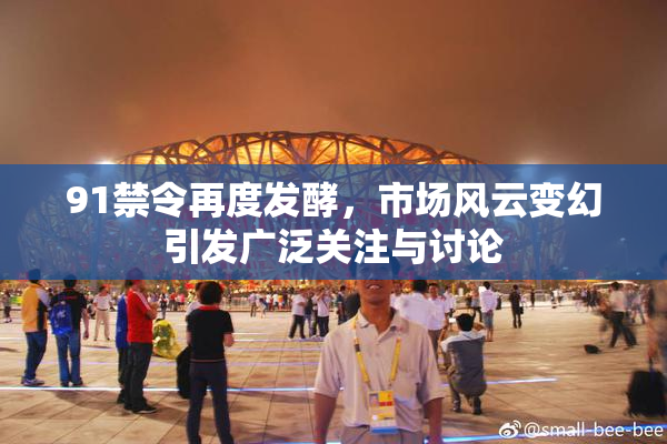 91禁令再度发酵，市场风云变幻引发广泛关注与讨论