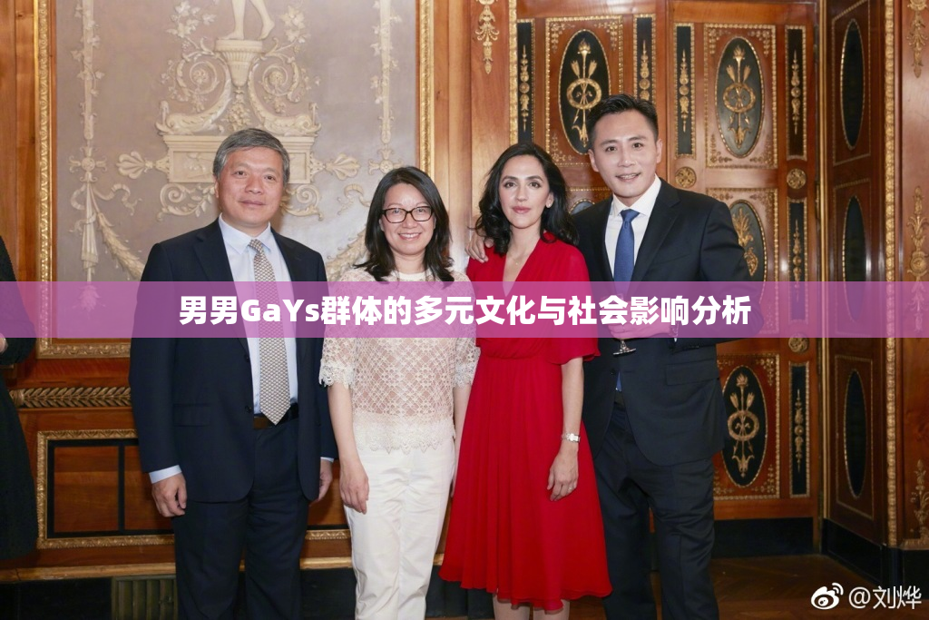 男男GaYs群体的多元文化与社会影响分析