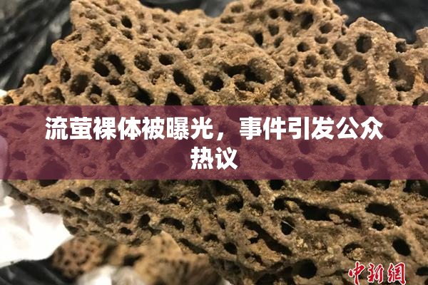 流萤裸体被曝光，事件引发公众热议