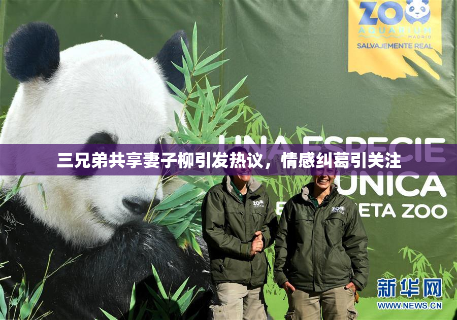 三兄弟共享妻子柳引发热议，情感纠葛引关注
