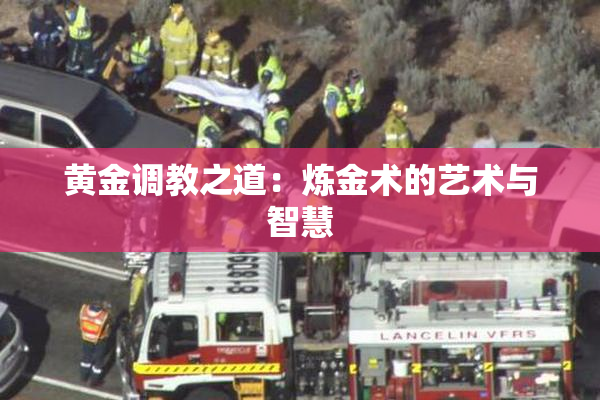 黄金调教之道：炼金术的艺术与智慧