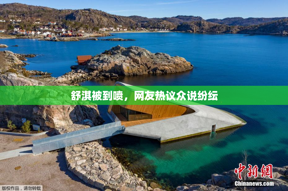 舒淇被到喷，网友热议众说纷纭