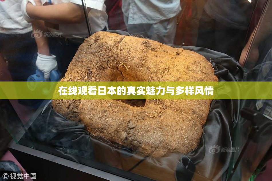 在线观看日本的真实魅力与多样风情